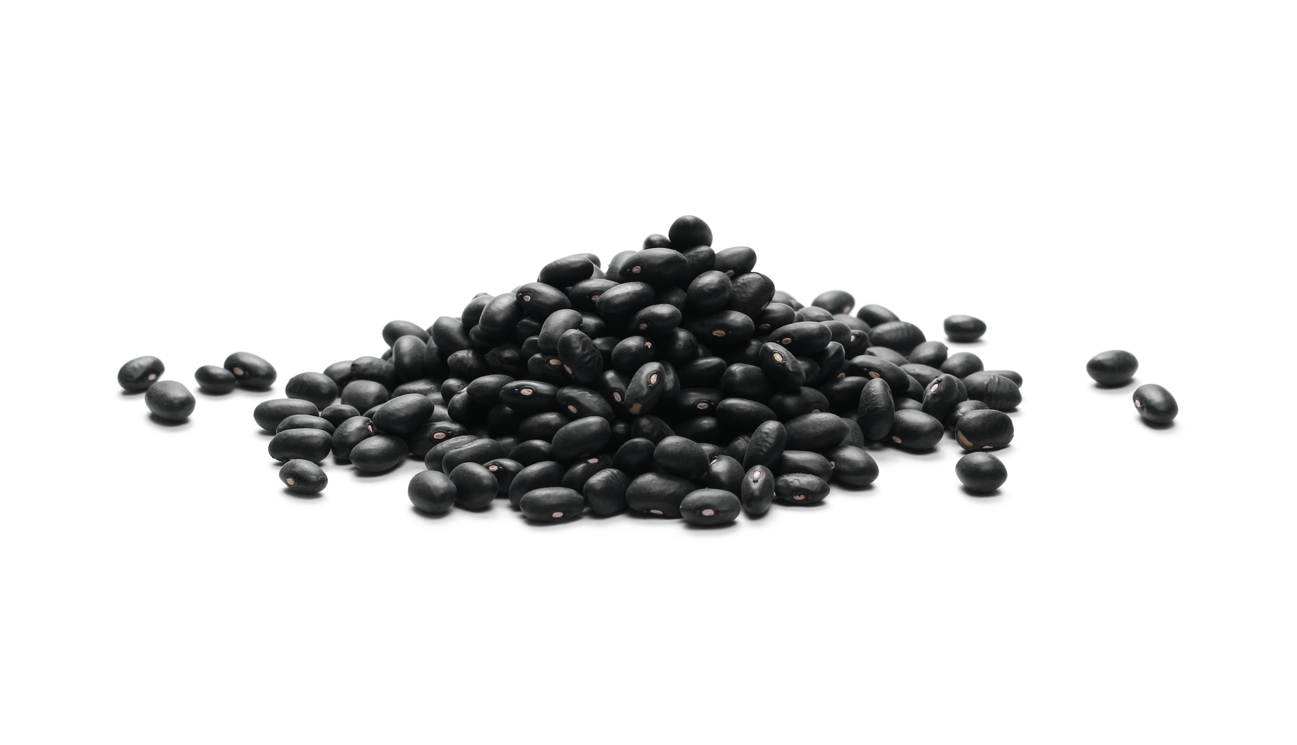 black valentine heirloom bean