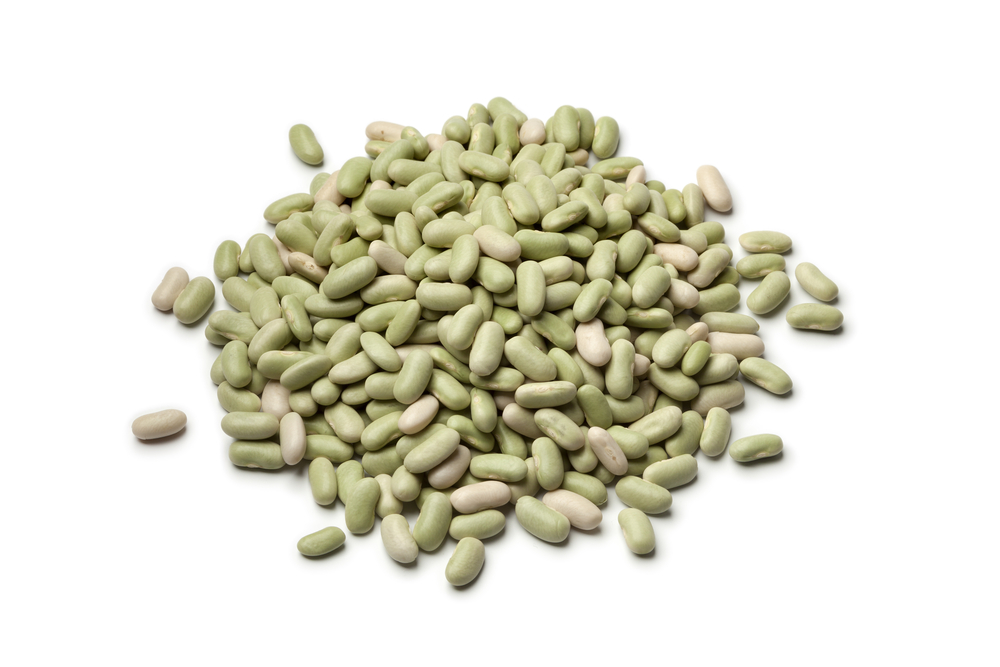 Green Flageolet heirloom bean