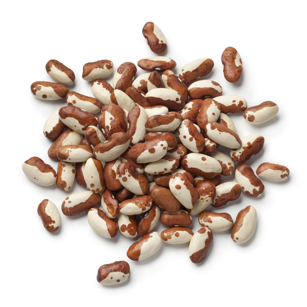 shutterstock_454884091 heirloom snowcap bean