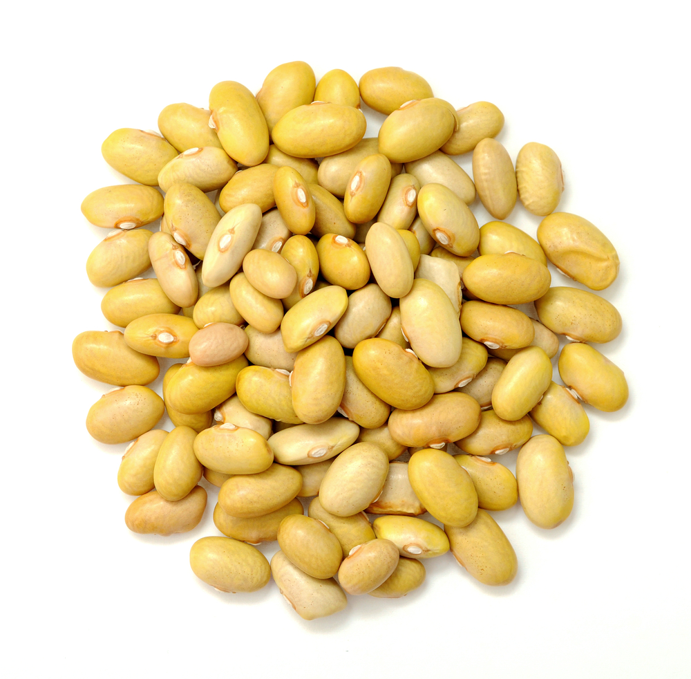 mayocoba bean