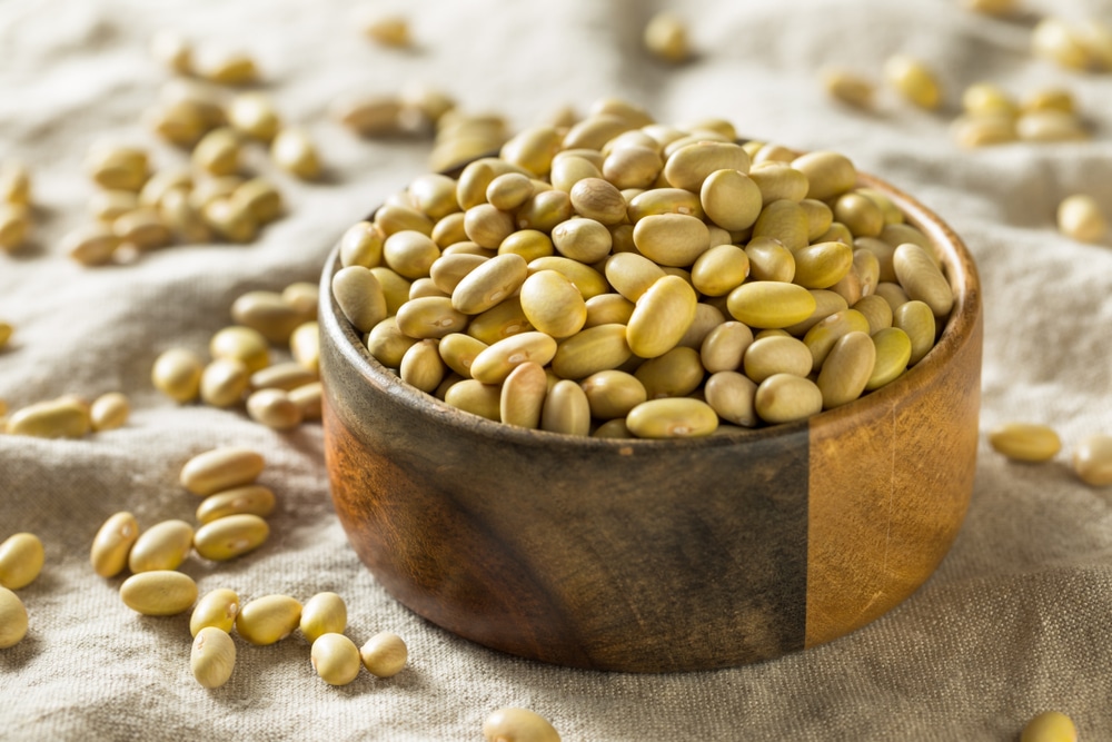 Dry,Organic,Yellow,Mayocoba,Beans,In,A,Bowl